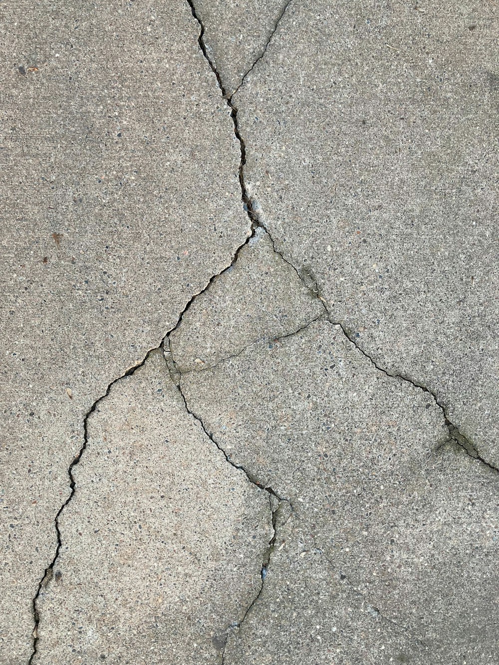 Cracked concrete walkway